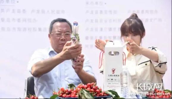 河北秦皇岛：拥抱“网红经济”新业态